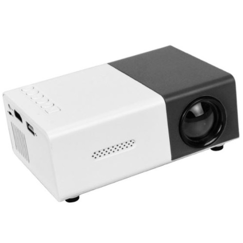YG300