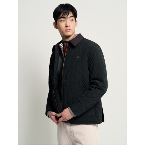 �Ｚ���� ���� �� ���̾� ���� �е� ���ĸ� �׸� BC6138CP1M