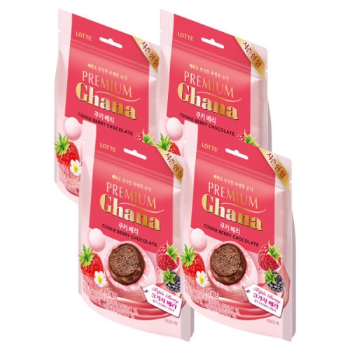 �Ե����� �����̾� ���� ��Ű ���� 67g