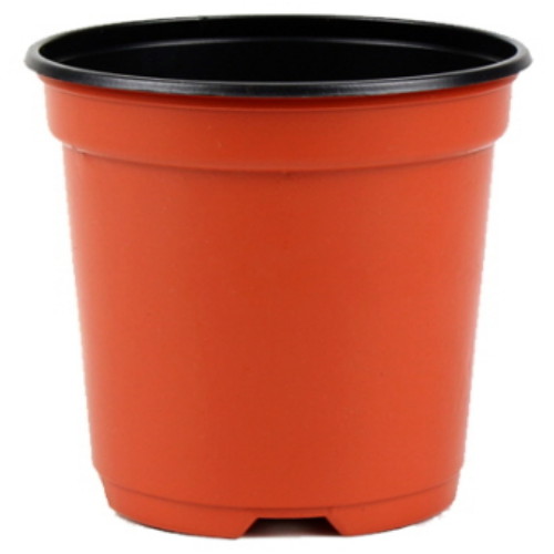  이색포트 13호 적색 [100개]