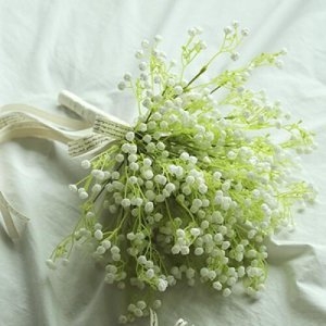 ���ö������ ������ �Ȱ��� ����