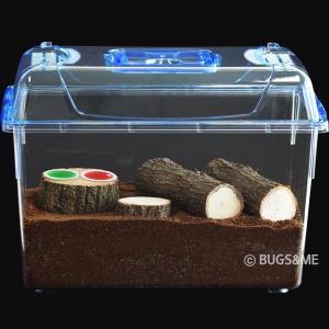 벅스피아 장수풍뎅이 사육세트 천연세트 인공세트이미지입니다. 누르면 해당 게시물로 새창이동합니다.