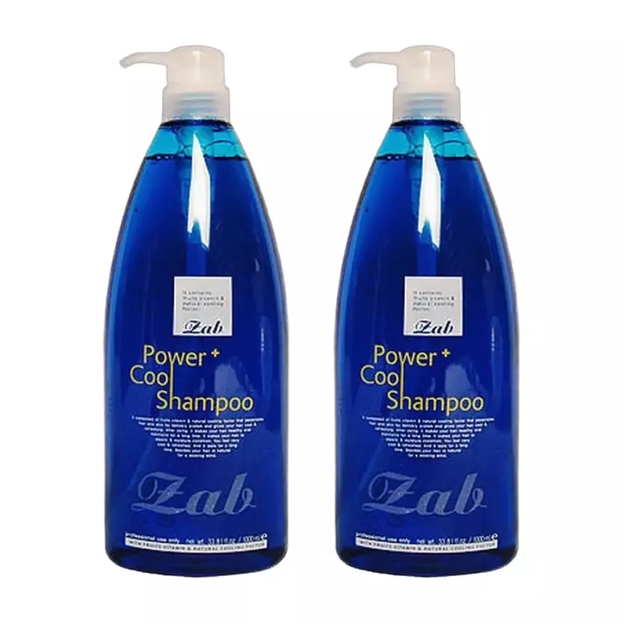 자브 파워 플러스 쿨 샴푸 1000ml (2개)_이미지