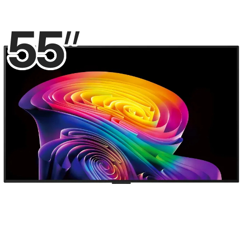 LG���� �÷��� evo AI OLED55C6KNA