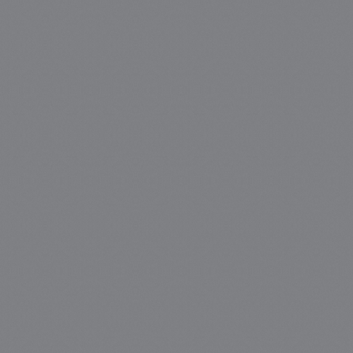SAVAGE 74 Smoke Gray Ǯ������ �ѹ����