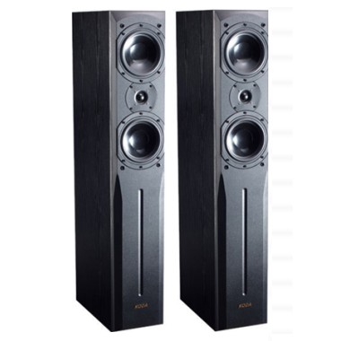 �ڴ� EX-�纸��