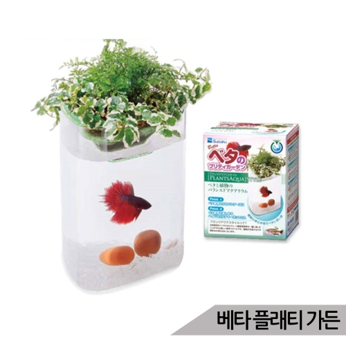 수이사쿠 수이사쿠 베타 플래티가든 미니어항 /베타키우기 세트_이미지