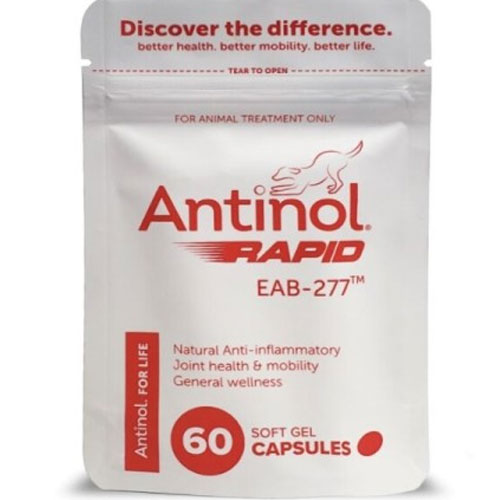 안티놀 래피드 관절영양제 60p (1개)