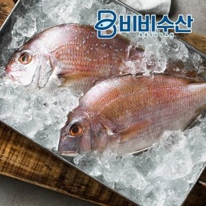 국내산 제수용 참돔 대 1000-1200g