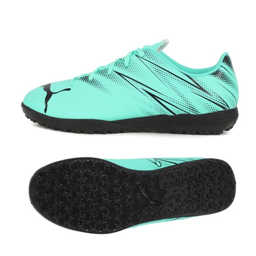 Ǫ�� �ִϾ� ��Ÿĭ�� TT 107481-10