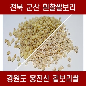  다온농산 2019 국산 겉보리쌀 5kg [1개]