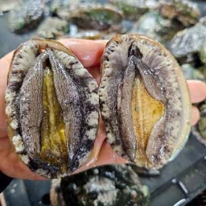 맛남 산소포장 완도 활 전복 대 11~13미 1kg (1개)_이미지