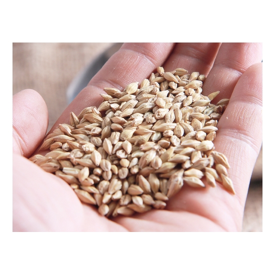 소화농장 겉보리 1kg (1개)