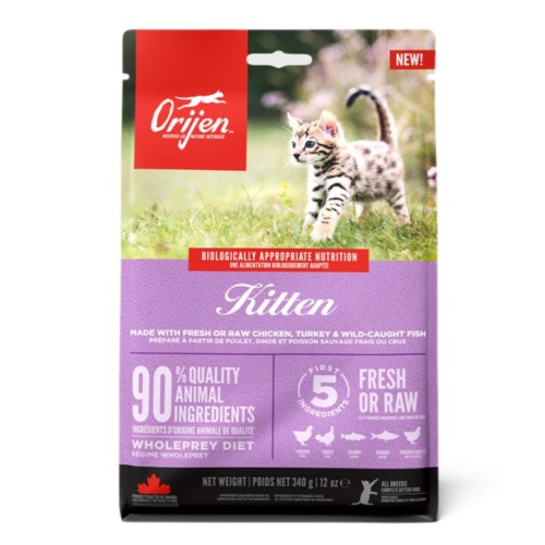 오리젠 캣 키튼 340g (1개)_이미지