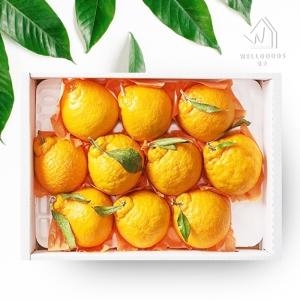���� �������� �Ѷ�� ������Ʈ �Ұ� 10-12�� 1.5kg