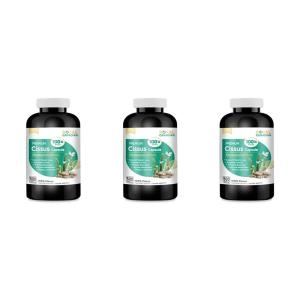  로얄캐네디언 100배 시서스 600mg 500캡슐 [3개]