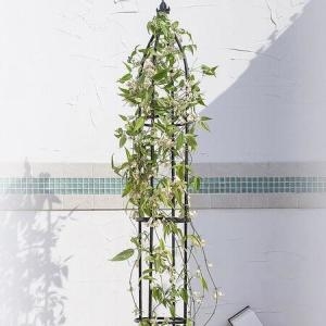 [�Ҹ�] ��������ũ ö�� �����÷� ���� 1.6m ��̳��� �Ĺ���