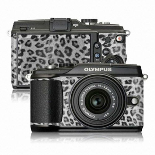 SKINNYSKIN �ø�Ǫ�� E-PL2�� TYPO ��Ű�Ͻ�Ų