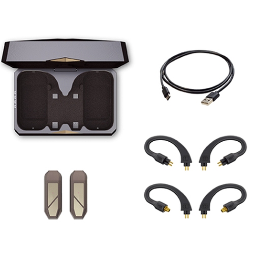 iFi audio GO POD MAX