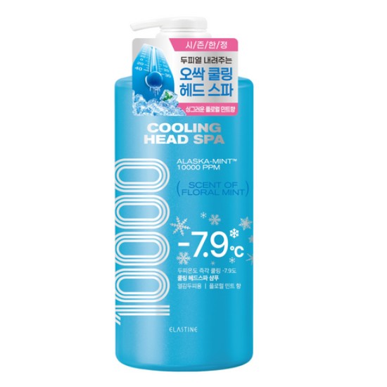 LG생활건강 엘라스틴 쿨링 헤드 스파 10000 샴푸 플로럴민트 1000ml (2개)