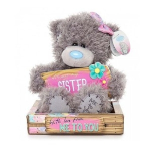 Qingdao Poladreams 미 투 유 시스터 플라크 플러시 베어 18cm G01W4084_이미지