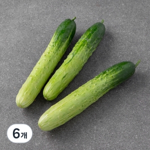 곰곰 국내산 백오이 3입 (4개)_이미지