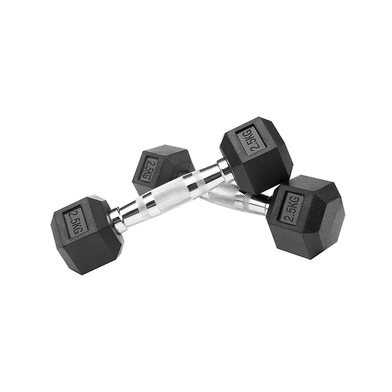 드래곤핏 PEV 헥사곤 육각 아령 (2.5kg, 1개)_이미지