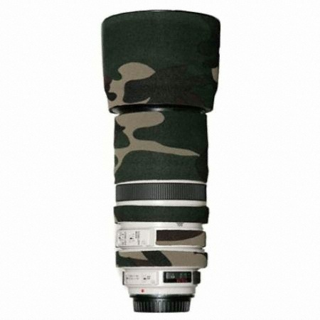 Lens Coast Canon EF 100-400 f4.5-5.6 L IS USM ����Ŀ��
