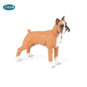 파포 박서 (54019)