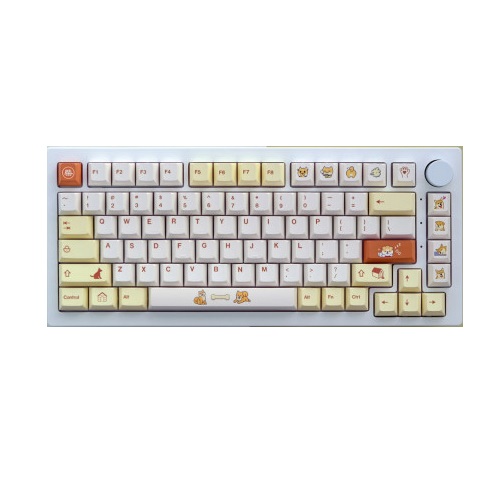 사오파오 체리 시바 강아지2