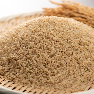 자연맛남 현미 10kg (1개)_이미지