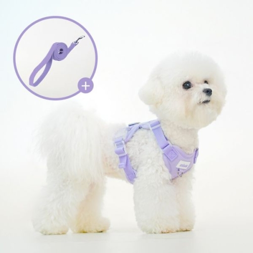 [불명] 왈츠 하네스_이미지