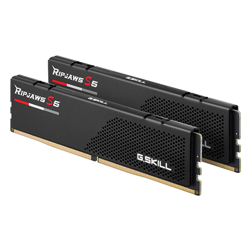 G.SKILL DDR5-5600 CL40 RIPJAWS S5 J ���� ��Ű��