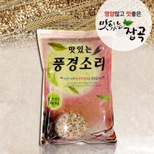 현대농산 렌틸콩 귀리 혼합 20곡 5kg (2개)