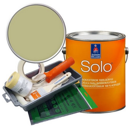 ���������Ͻ� �ַ� ���� ����Ʈ ��Ʈ