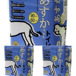 아스카 아스카 패드 대형 22매