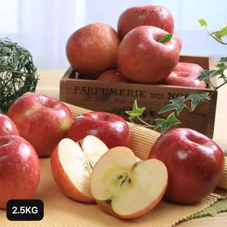 ���ȸ���������(��) ���Կ� ��� ������ 2.5kg