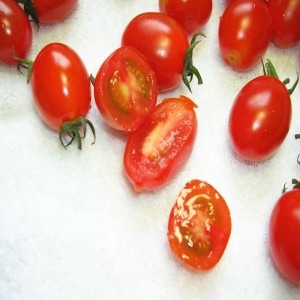 땡이네과일가게 대추방울토마토 4번 중소과 5kg