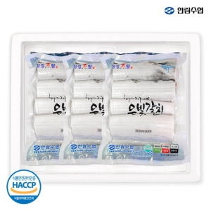 한림수협 제주바당 은빛갈치 300g [3개]