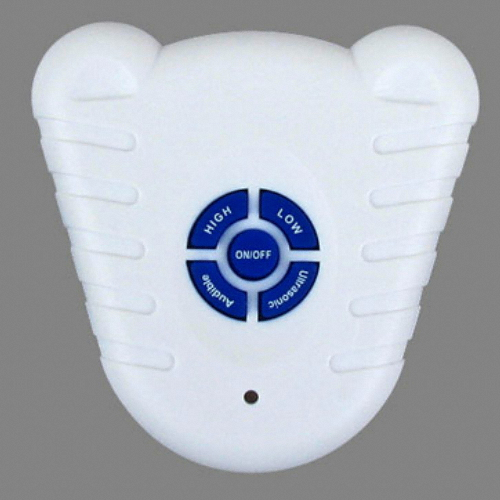 �������ͽ� �԰�¢������ �����