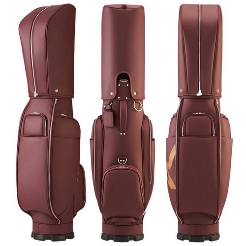 ����� ������Ƽ �Ƽ��ر׷��̽� ĳ���