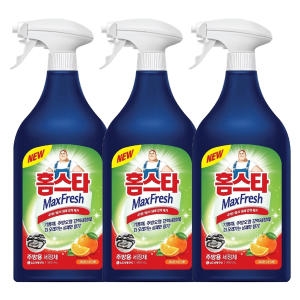 홈스타 주방용 세정제 900ml (3개)_이미지