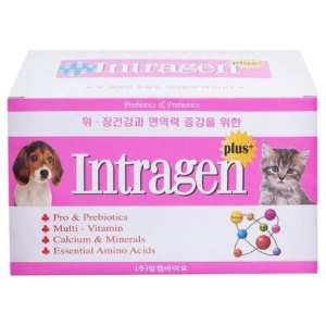 알켐코리아 인트라젠 플러스 200g (2g x 100p) (2개)_이미지