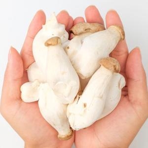 산정마을 국내산 친환경 미니 새송이버섯 2kg 꼬마 새송이_이미지