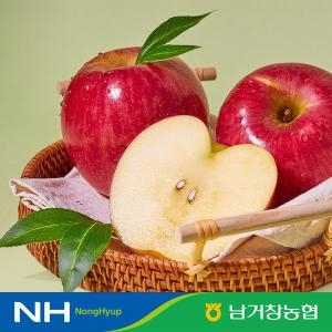 아삭달콤한 거창 꿀사과 가정용 5kg 중과 17-23과 내외