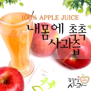 내몸에촉촉 사과즙120ml 100포