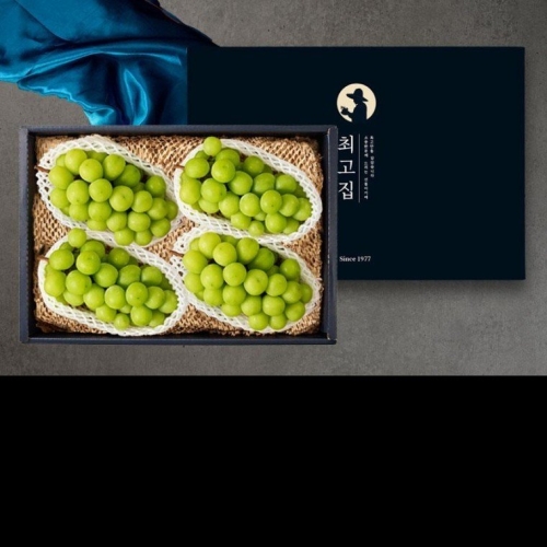 최고집 샤인머스켓 선물세트 / 실속 2kg 특 4수