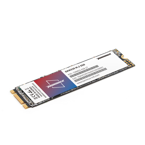 타무즈 GKM330 M.2 2280 (128GB)_이미지