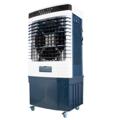 21���߸� CCAF-80