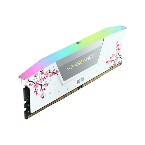 CORSAIR DDR5-6000 CL30 VENGEANCE RGB WHITE ü������� ����� ��Ű��(32GB(16Gx2))